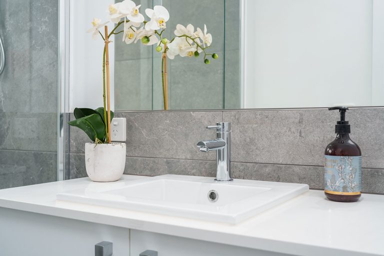 a sink with a plant in a pot